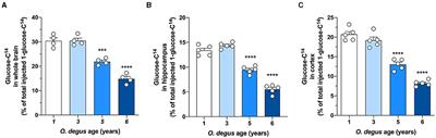 Disruption of Glucose Metabolism in Aged Octodon degus: A Sporadic Model of Alzheimer's Disease